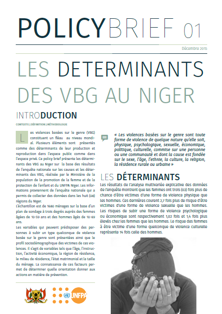 Lire la suite à propos de l’article Policy Brief déterminants des VBG