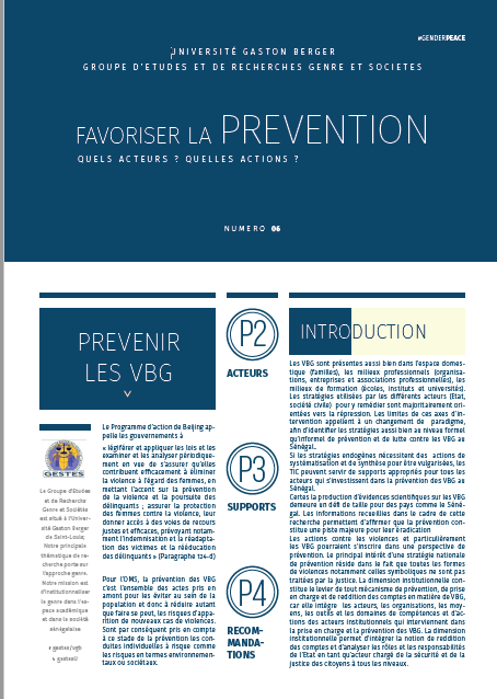 Lire la suite à propos de l’article Policy Brief favoriser la prévention contre les VBG