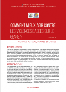 Lire la suite à propos de l’article Policy Brief mieux Agir Contre les VBG